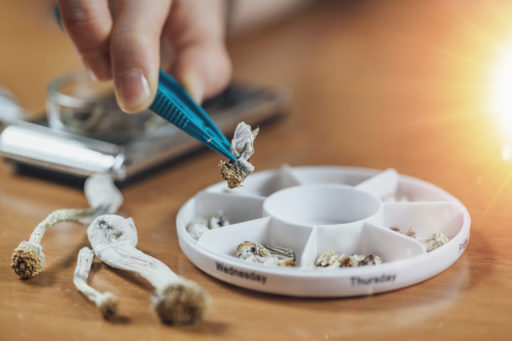What to Know Before Trying Mushrooms For Your Depression