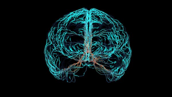 BDNF represented by an image of a brain